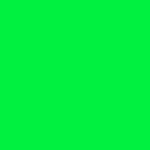 LB -  FLUORESCENT POWDER GREEN image